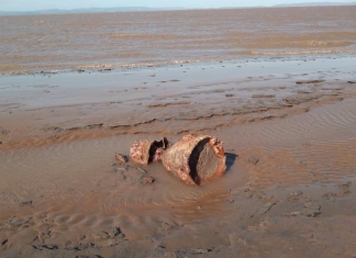 Torpedo found on Somerset beach