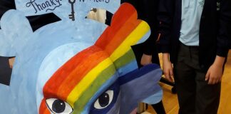 Brent Knoll School Carnival Mask