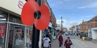 Poppy Appeal Burnham-On-Sea