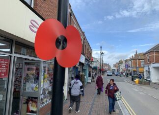 Poppy Appeal Burnham-On-Sea