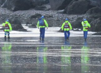 Burnham Coastguards in Brean search for ‘woman entering sea’
