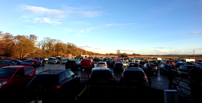 Starlings murmuration 