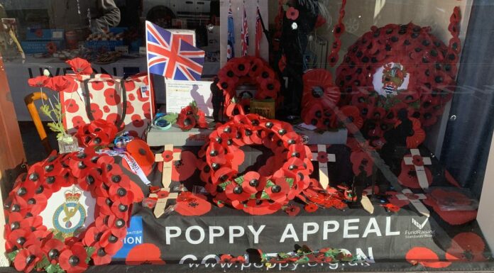 Poppy Appeal Burnham-On-Sea