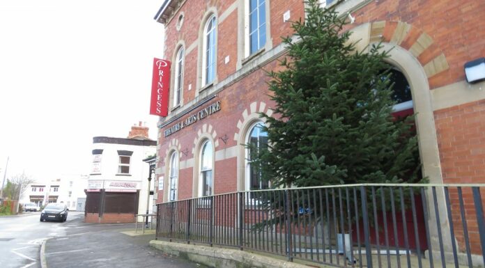 Burnham-On-Sea Christmas tree