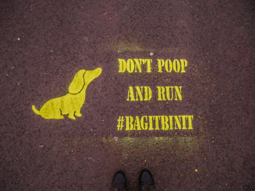 Dog fouling campaign Burnham-On-Sea and Highbridge