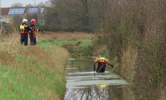 Stranded sheep rescued from Burnham-On-Sea rhyne