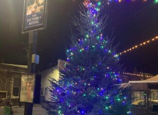 Victoria Hotel Burnham-On-Sea Christmas Tree