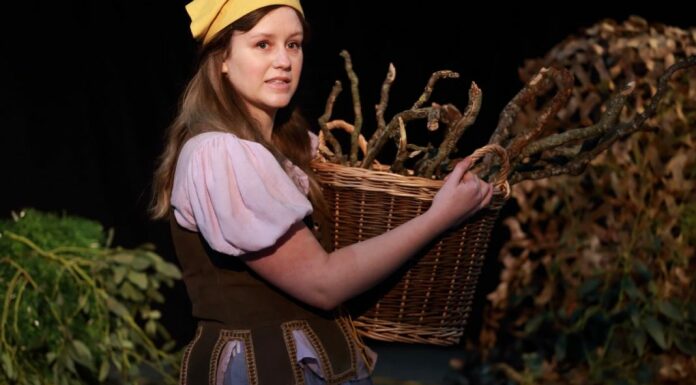 In Search of Cinderella - A Virtual Panto