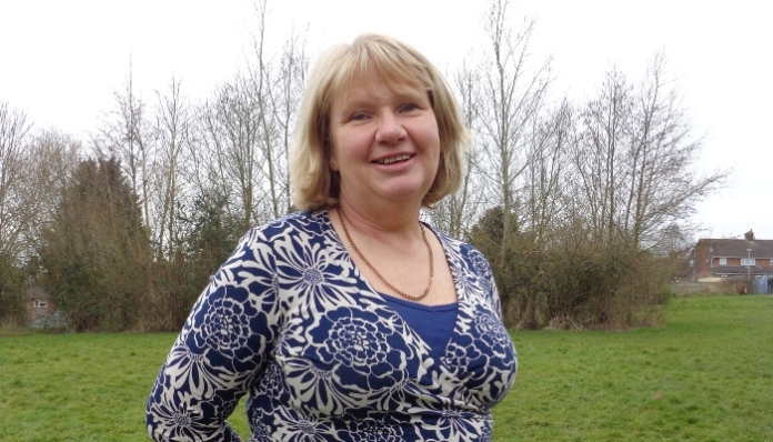 Jane Lock Somerset Lib Dems leader