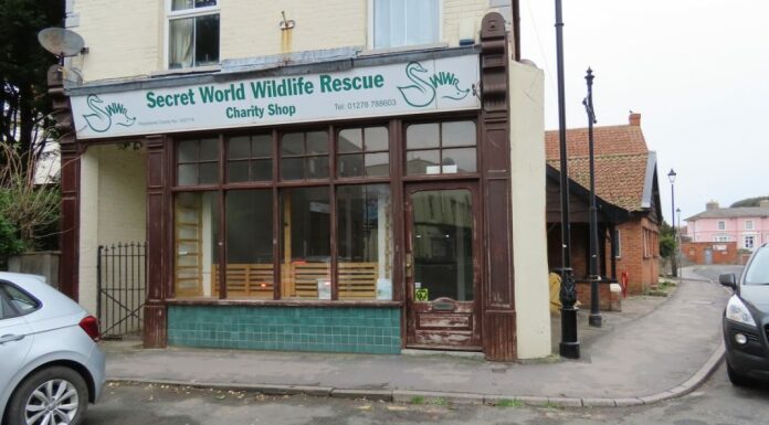 Secret World shop in Burnham-On-Sea