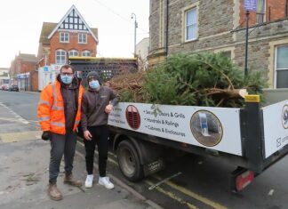Hillview Carnival Club Christmas tree collection service in Burnham-On-Sea
