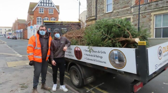 Hillview Carnival Club Christmas tree collection service in Burnham-On-Sea