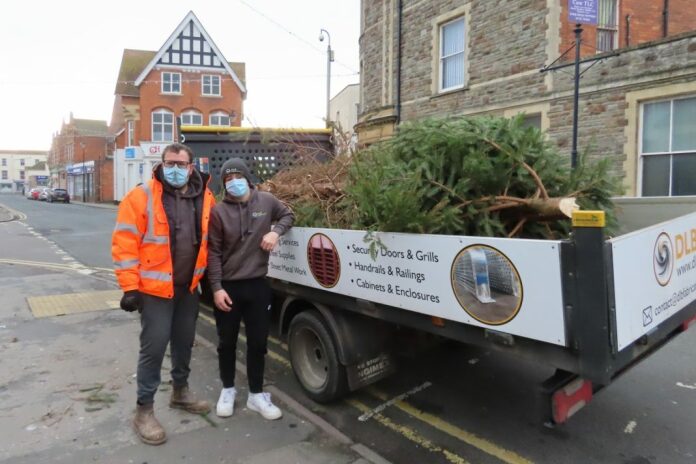Hillview Carnival Club Christmas tree collection service in Burnham-On-Sea
