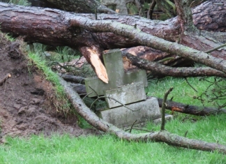 Burnham-On-Sea cemetery trees fall
