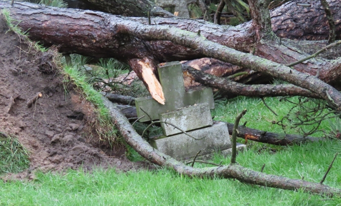 Burnham-On-Sea cemetery trees fall