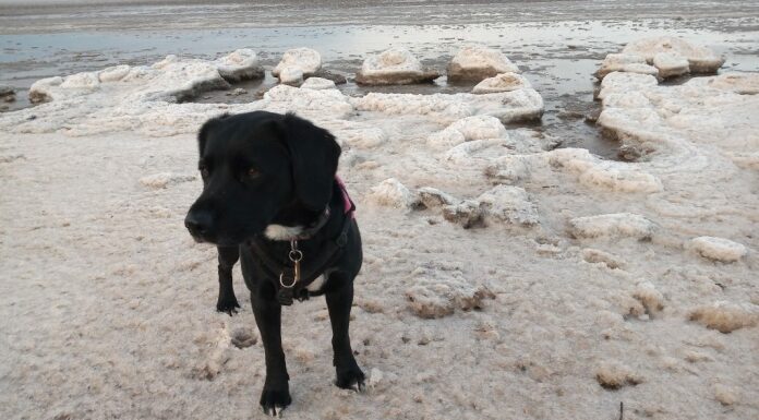 Ice on Burnham-On-Sea beach