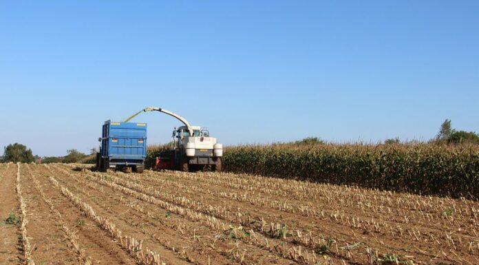 Farmers will be able to bid for funding for up to 12 environmental measures on their farm