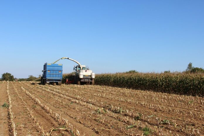 Farmers will be able to bid for funding for up to 12 environmental measures on their farm