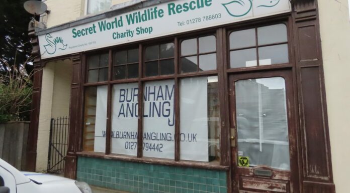 Burnham Angling in Burnham-On-Sea