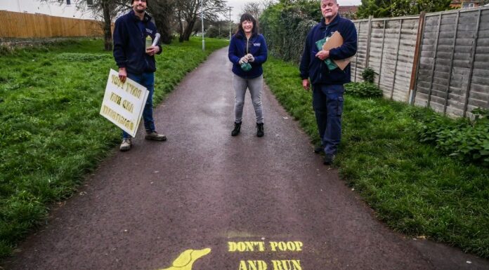 Dog fouling campaign in Burnham-On-Sea and Highbridge