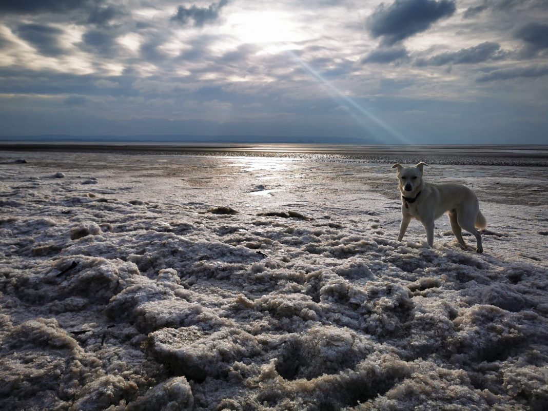 Ice on Burnham-On-Sea beach 