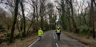 Hundreds of dead and dying trees bordering a busy road have been cleared by Somerset County Council’s Highways Team and partner agencies.