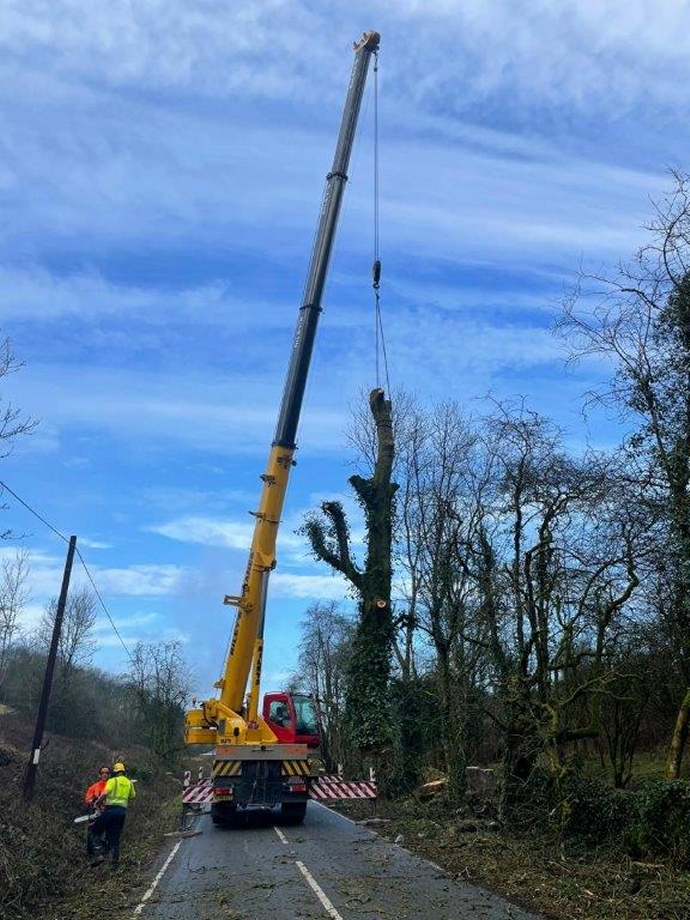 Hundreds of dead and dying trees bordering a busy road have been cleared by Somerset County Council’s Highways Team and partner agencies.