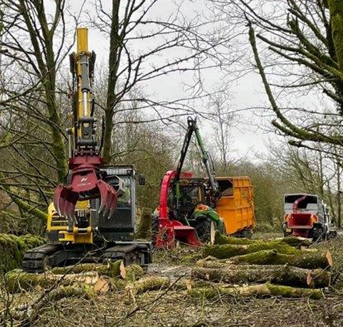 Hundreds of dead and dying trees bordering a busy road have been cleared by Somerset County Council’s Highways Team and partner agencies.