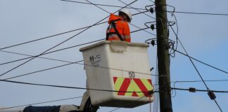 western power distribution