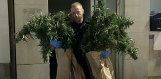 Burnham-On-Sea drugs raid