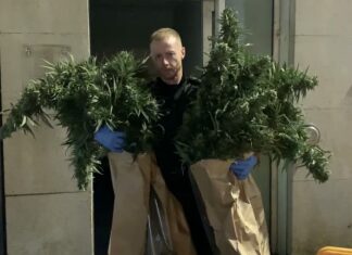 Burnham-On-Sea drugs raid
