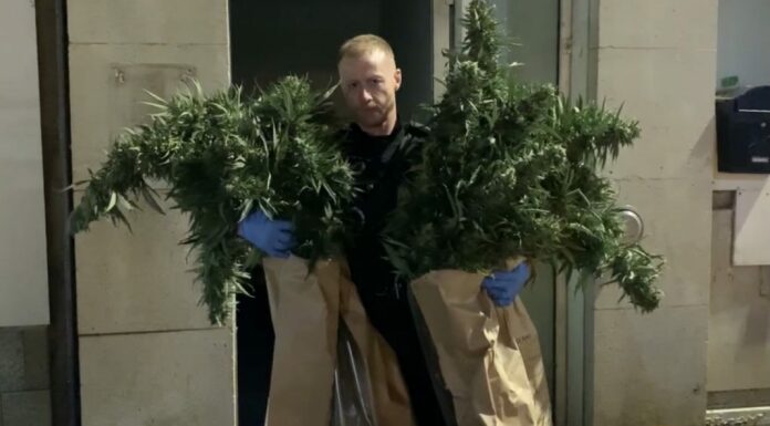 Burnham-On-Sea drugs raid