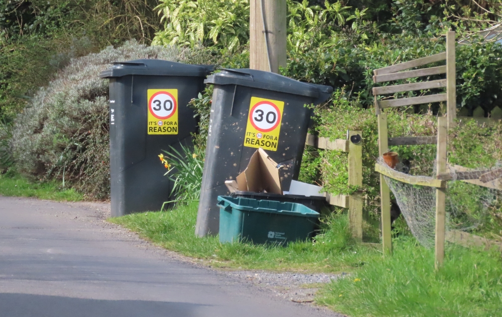 Brent Knoll speed watch