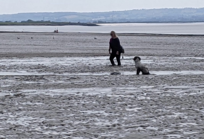 Stranded woman rescued from mud on Burnham-On-Sea beach by Coastguards