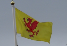 Somerset Day flag