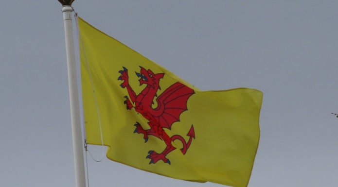 Somerset Day flag