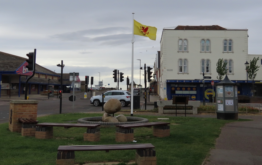 Somerset Day flag