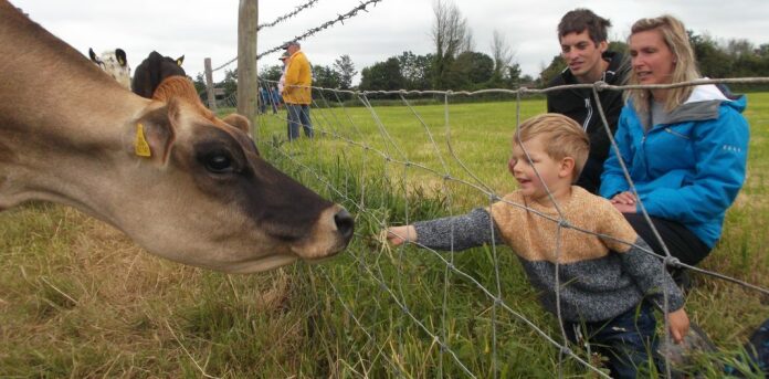 Maundrils Farm, at West Huntspill, hosted a LEAF Open Farm Sunday event