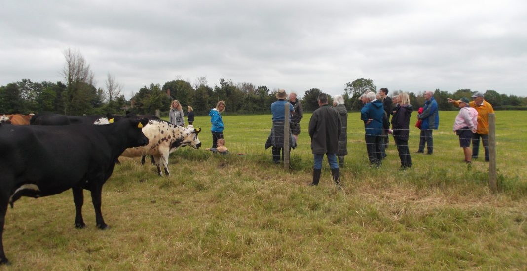 Maundrils Farm, at West Huntspill, hosted a LEAF Open Farm Sunday event