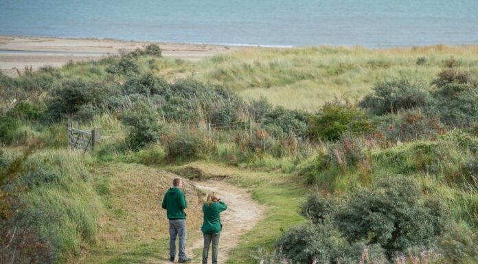 Berrow dunes