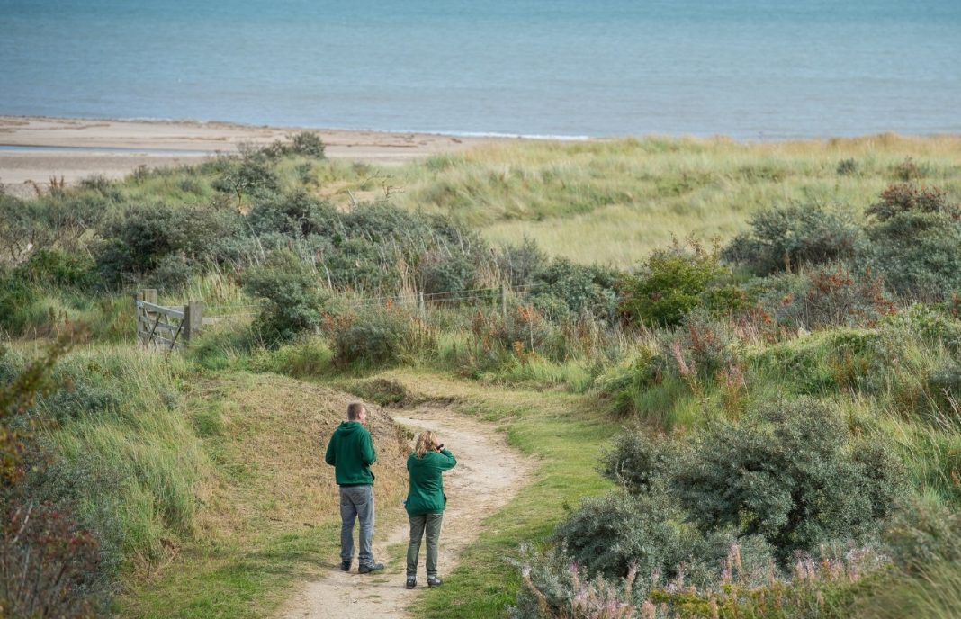 Berrow dunes