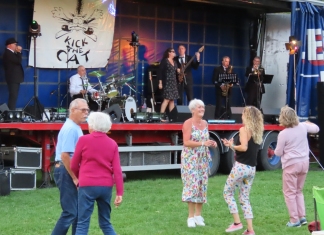 Brent Knoll Music On The Green