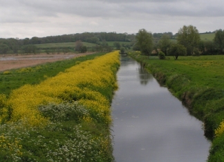 Rob Purvis / Drainage canal on the Somerset Levels / CC BY-SA 2.0