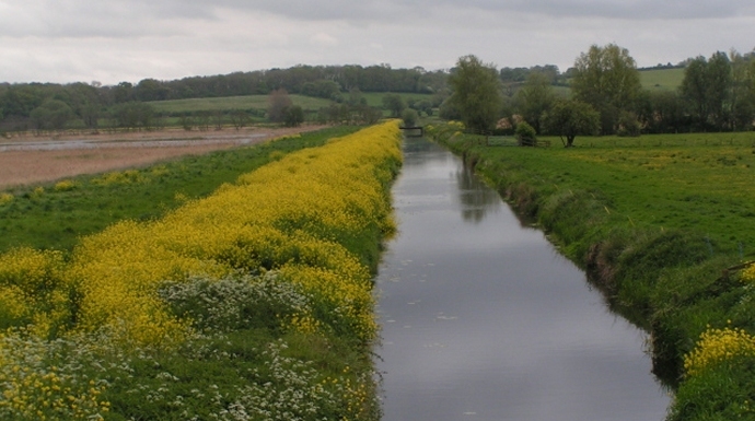 Rob Purvis / Drainage canal on the Somerset Levels / CC BY-SA 2.0