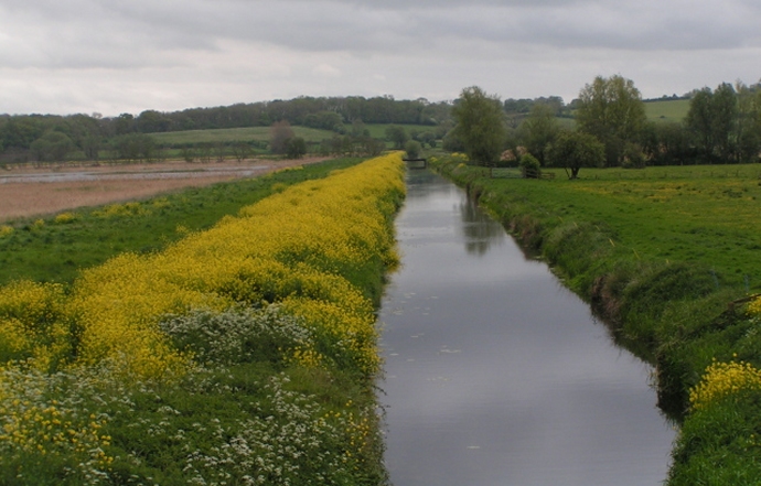 Rob Purvis / Drainage canal on the Somerset Levels / CC BY-SA 2.0