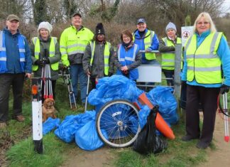 Friends of Berrow Beach beach clean