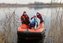 Stranded swan stuck in discarded fishing line is rescued by Secret World and BARB