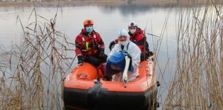 Stranded swan stuck in discarded fishing line is rescued by Secret World and BARB