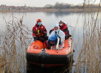 Stranded swan stuck in discarded fishing line is rescued by Secret World and BARB