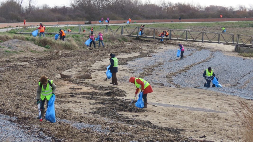 Friends of Burnham Beach at beach clean